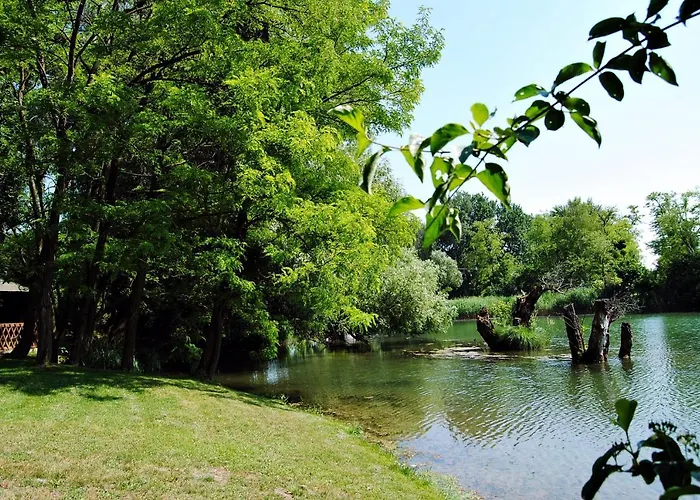 Hedi Vendeghaz دوناكيليتي